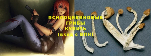 MDMA Premium VHQ Аркадак