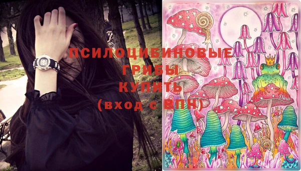 соль ск Алексин