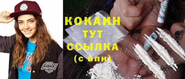 соль ск Алексин