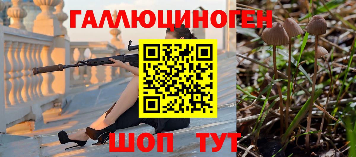 Псилоцибиновые грибы Magic Shrooms  Вход с VPN  Псилоцибиновые грибы Psilocybine cubensis  Нурлат 